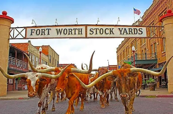 Express And Worth/i-20 Fort Worth